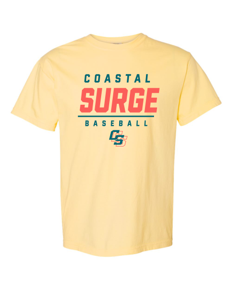 Coastal Surge Design 2
