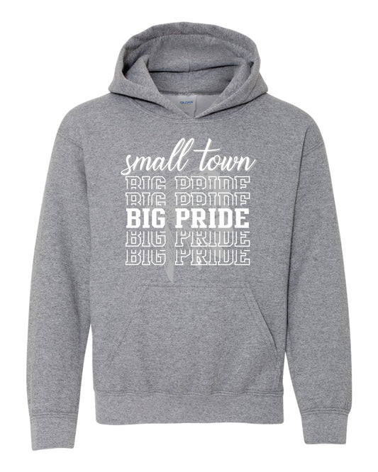 AES 25 Adult Big Pride Hoodie
