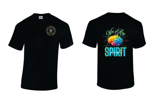AES Spirit 25