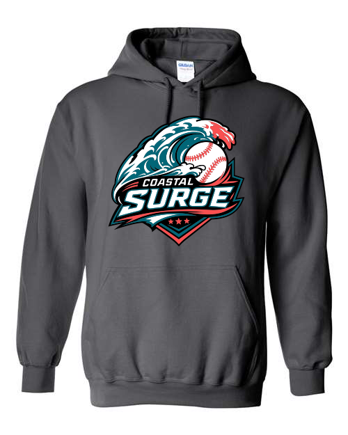 Coastal Surge Design 1