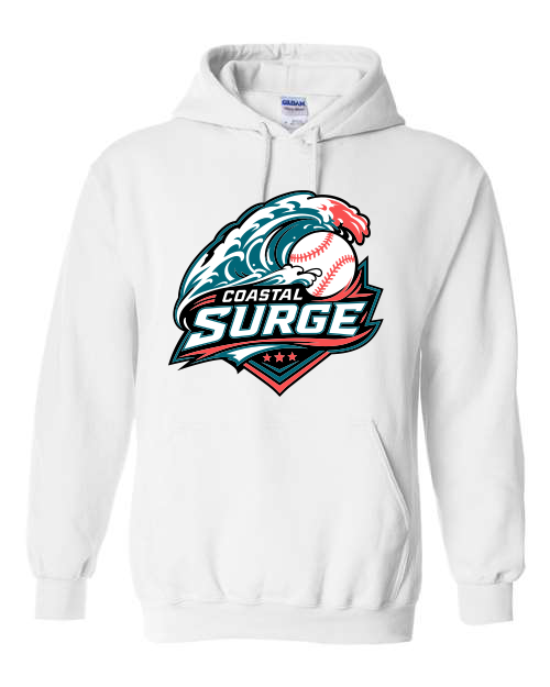 Coastal Surge Design 1