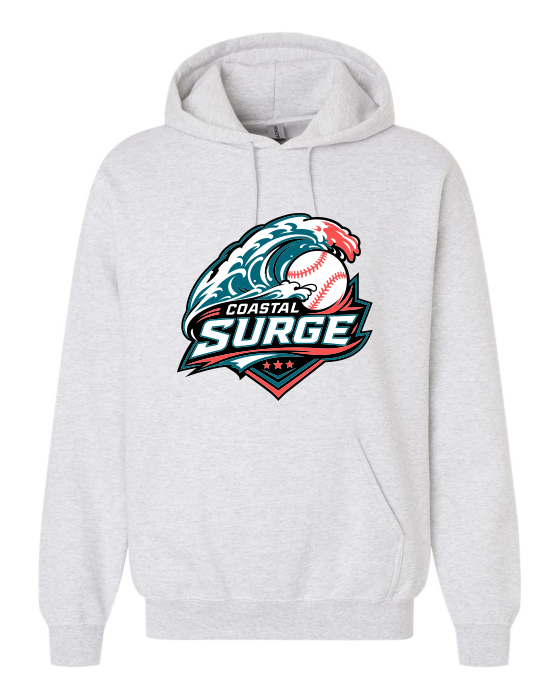 Coastal Surge Design 1