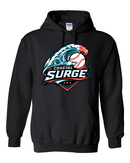 Coastal Surge Design 1