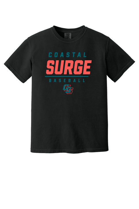 Coastal Surge Design 2