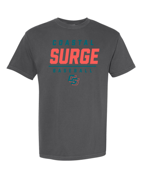 Coastal Surge Design 2