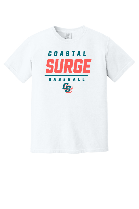 Coastal Surge Design 2
