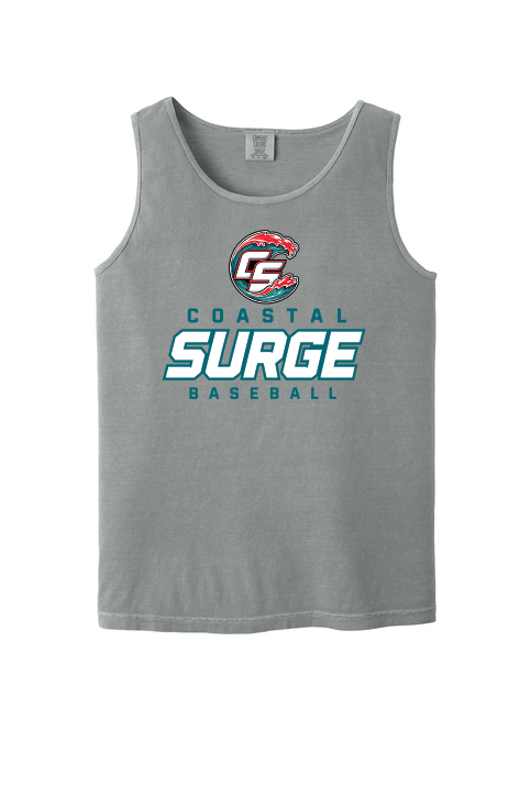 Coastal Surge Design 3