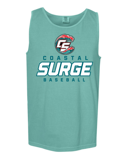 Coastal Surge Design 3