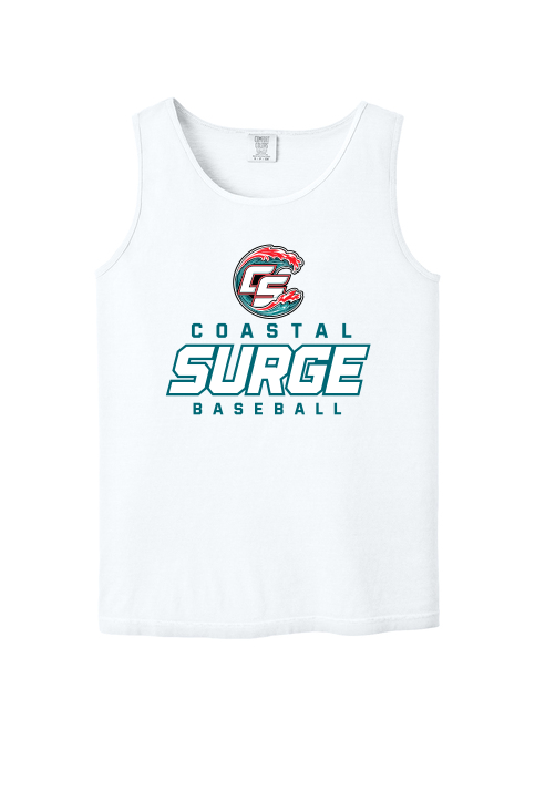 Coastal Surge Design 3