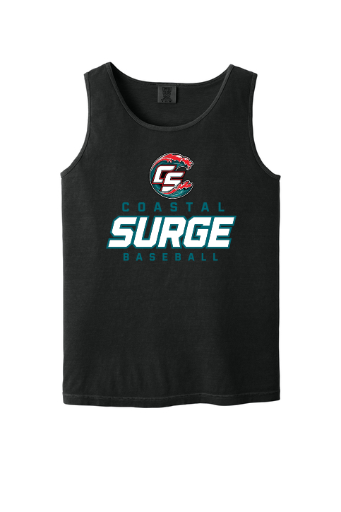 Coastal Surge Design 3