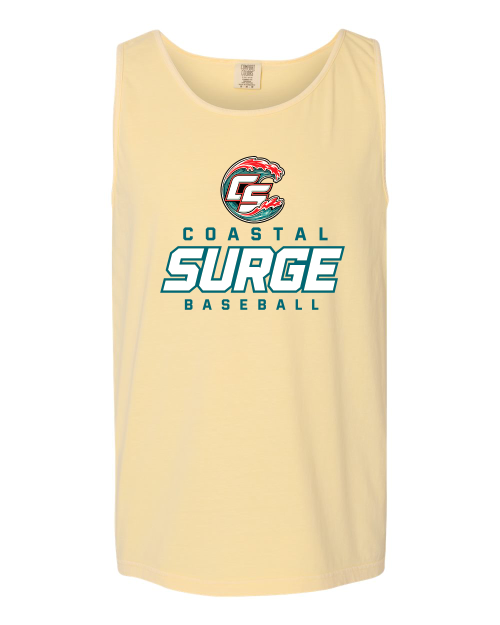 Coastal Surge Design 3