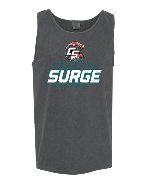 Coastal Surge Design 3