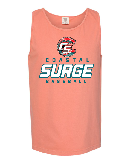 Coastal Surge Design 3