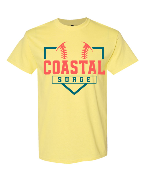Coastal Surge Design 5