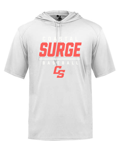 Coastal Surge Design 6