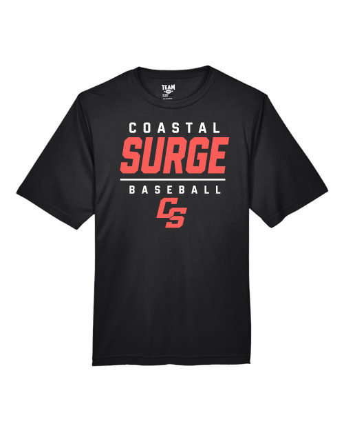 Coastal Surge Design 6