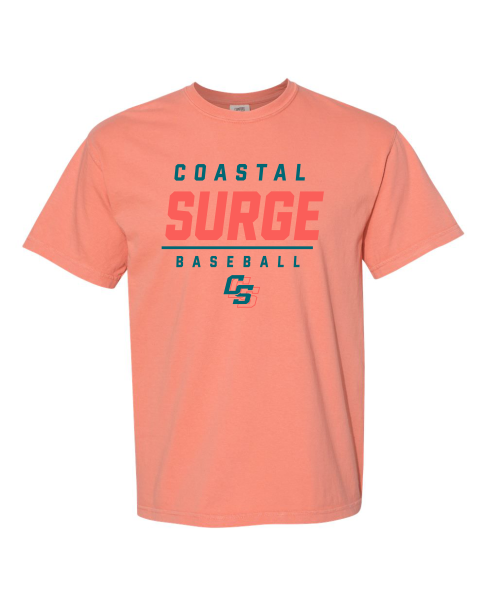 Coastal Surge Design 2